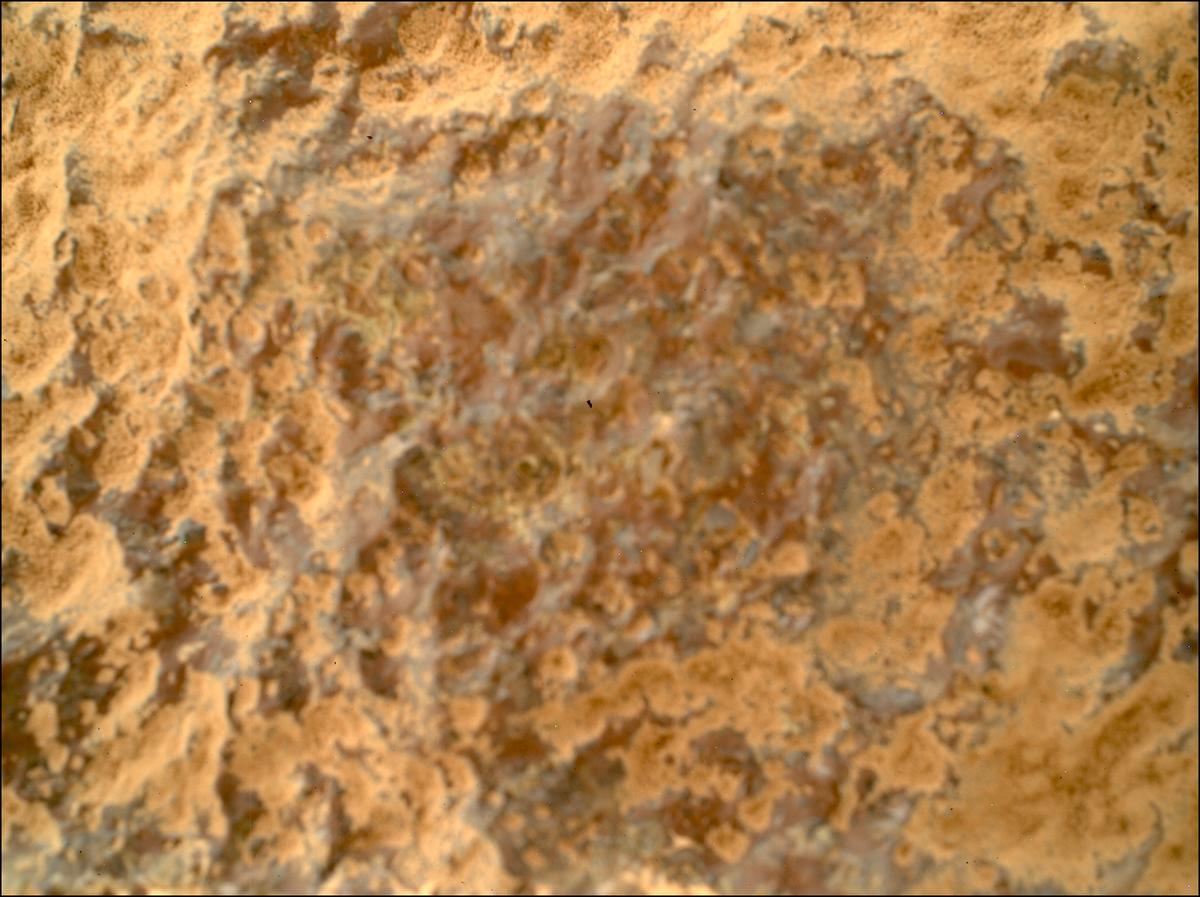 This image was taken by SHERLOC_WATSON onboard NASA's Mars rover Perseverance on Sol 1003