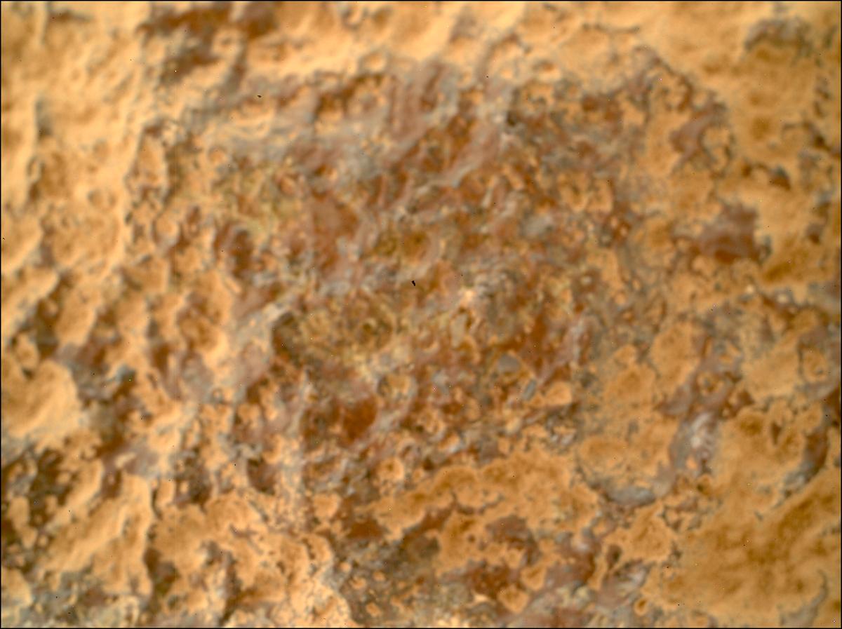 This image was taken by SHERLOC_WATSON onboard NASA's Mars rover Perseverance on Sol 1003