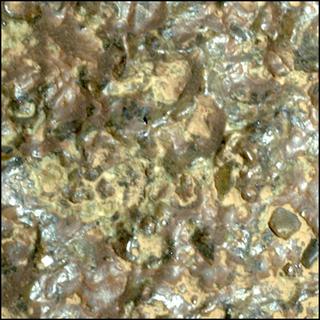 View image taken on Mars, Mars Perseverance Sol 1003: WATSON Camera 