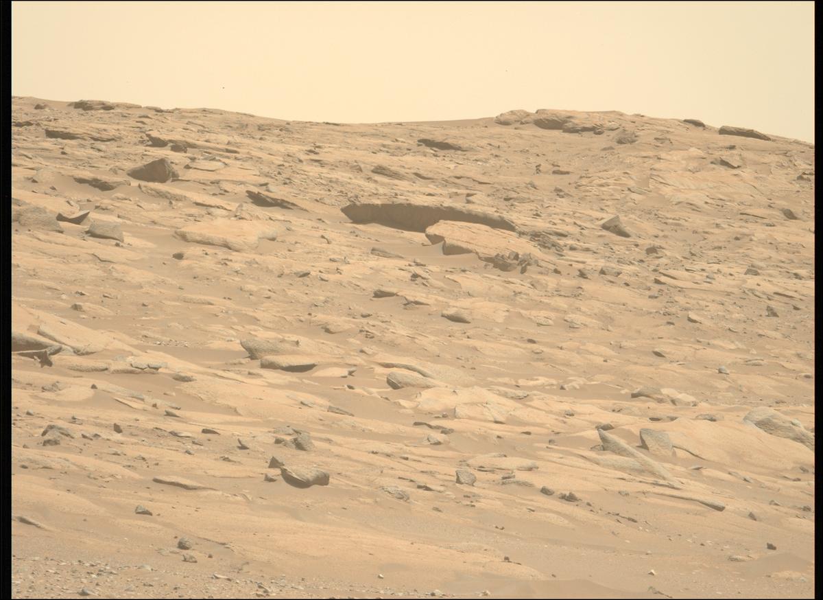 This image was taken by MCZ_LEFT onboard NASA's Mars rover Perseverance on Sol 1003