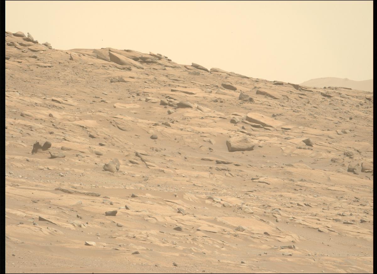 This image was taken by MCZ_LEFT onboard NASA's Mars rover Perseverance on Sol 1003