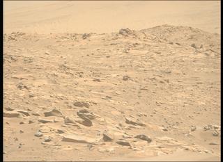 View image taken on Mars, Mars Perseverance Sol 1003: Left Mastcam-Z Camera