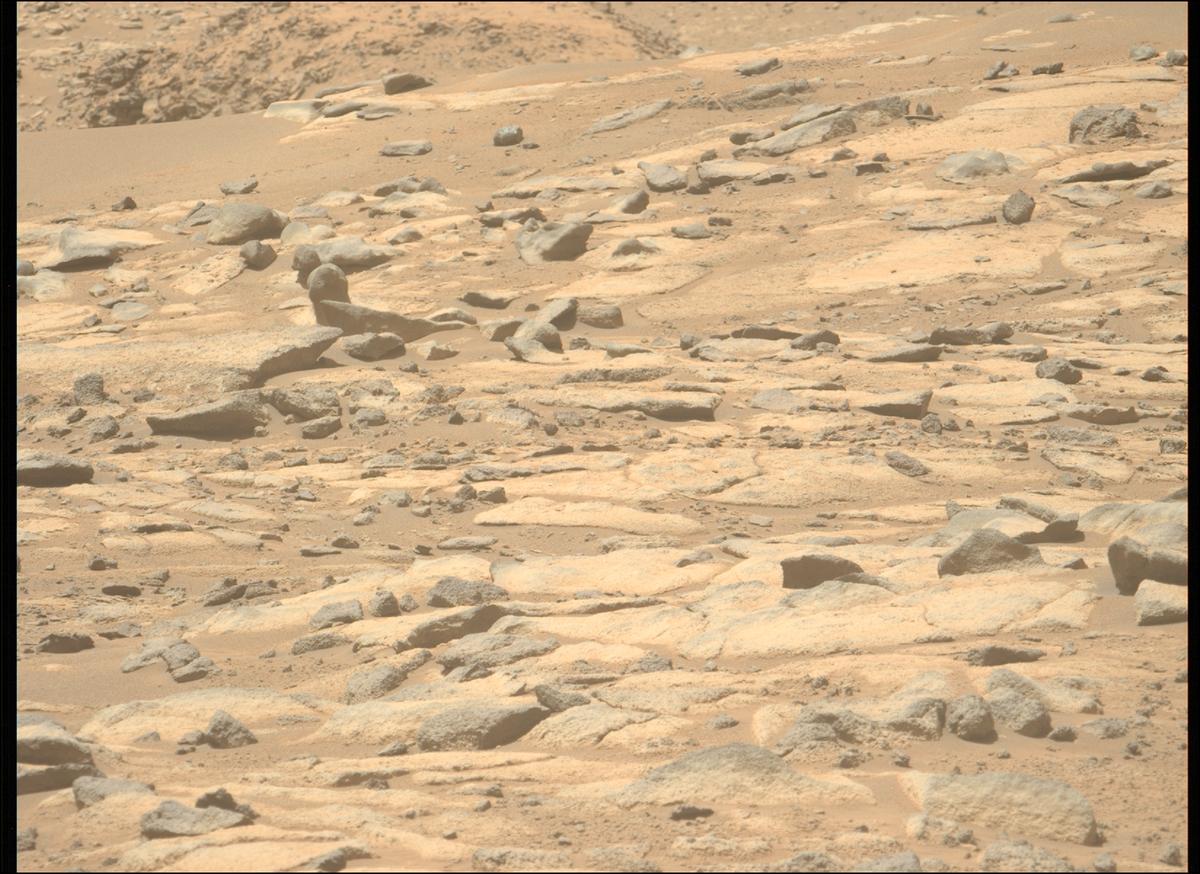 This image was taken by MCZ_LEFT onboard NASA's Mars rover Perseverance on Sol 1003