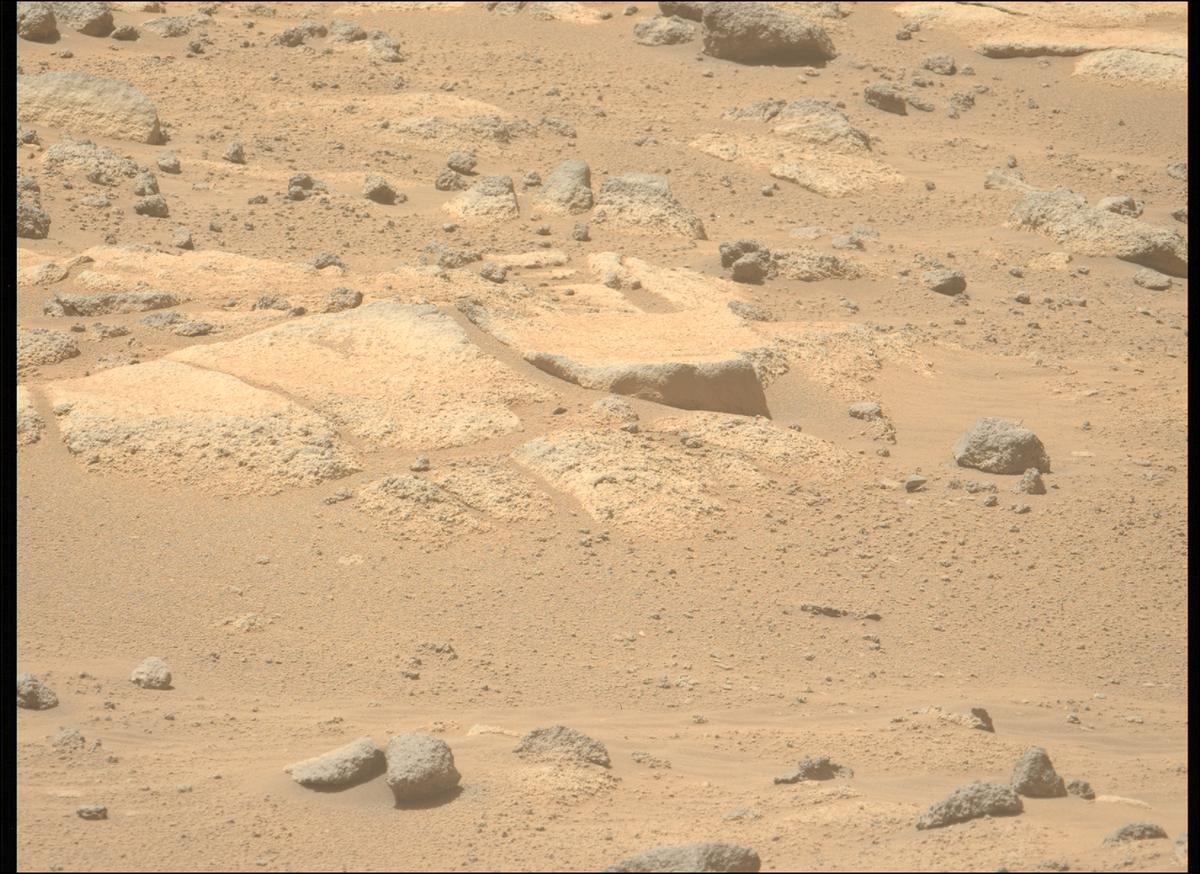 This image was taken by MCZ_LEFT onboard NASA's Mars rover Perseverance on Sol 1003
