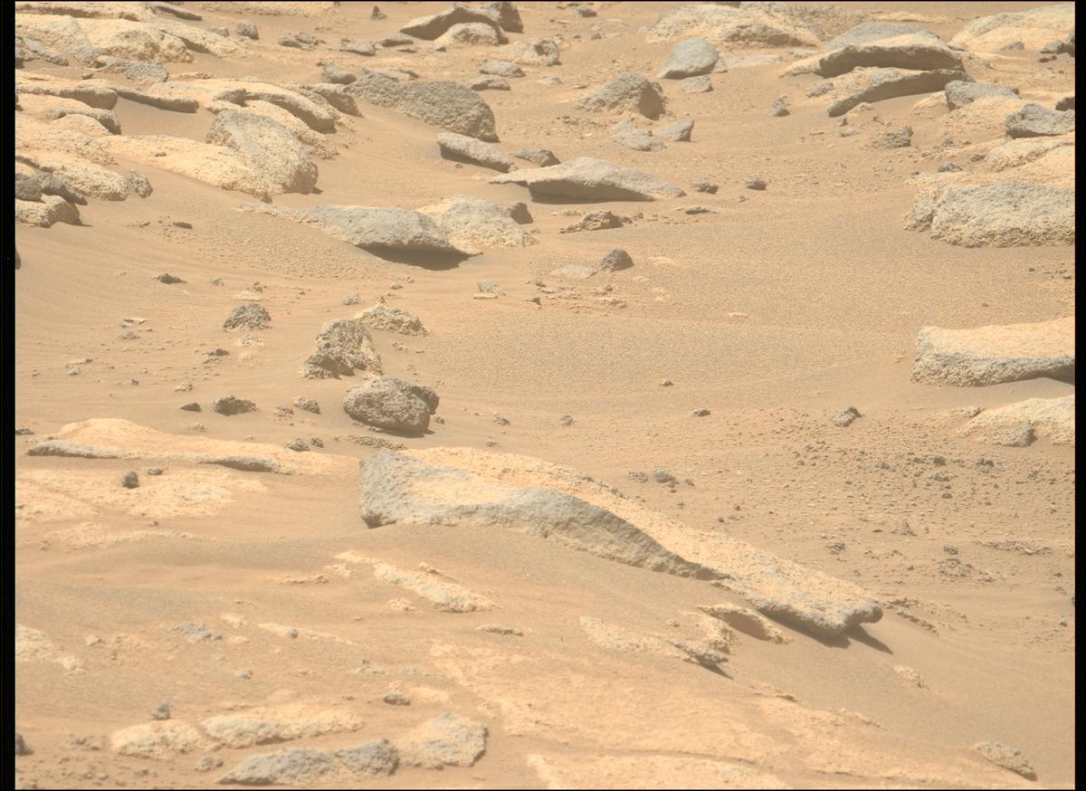 This image was taken by MCZ_LEFT onboard NASA's Mars rover Perseverance on Sol 1003