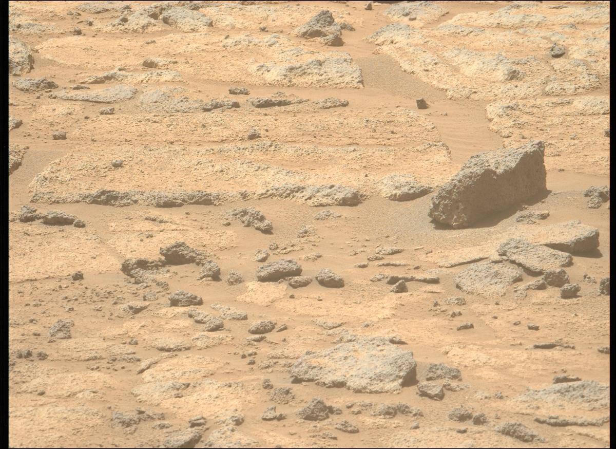 This image was taken by MCZ_LEFT onboard NASA's Mars rover Perseverance on Sol 1003