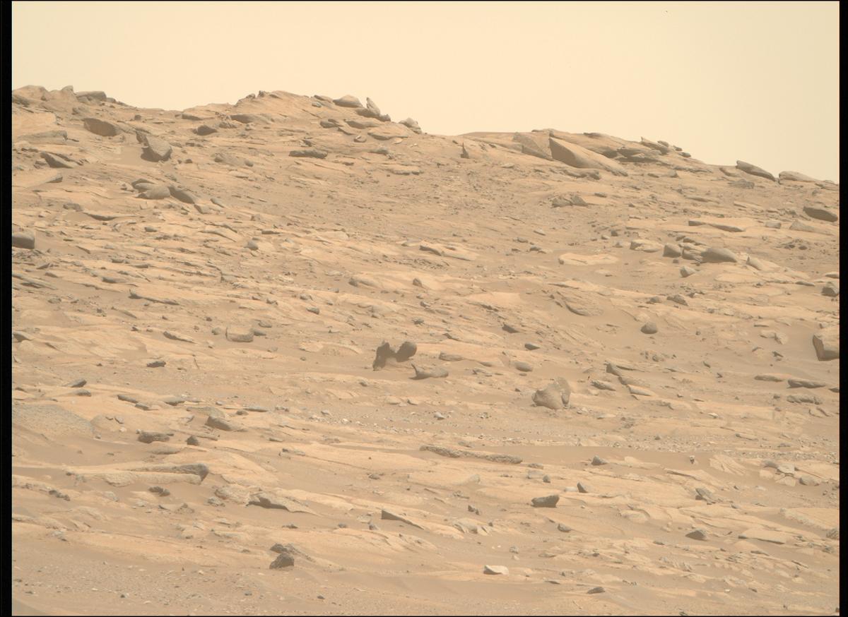 This image was taken by MCZ_RIGHT onboard NASA's Mars rover Perseverance on Sol 1003