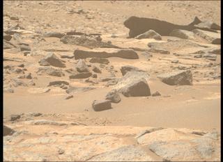 View image taken on Mars, Mars Perseverance Sol 1003: Right Mastcam-Z Camera