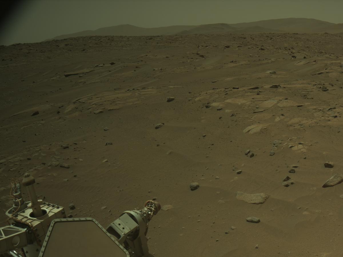 This image was taken by NAVCAM_LEFT onboard NASA's Mars rover Perseverance on Sol 1005