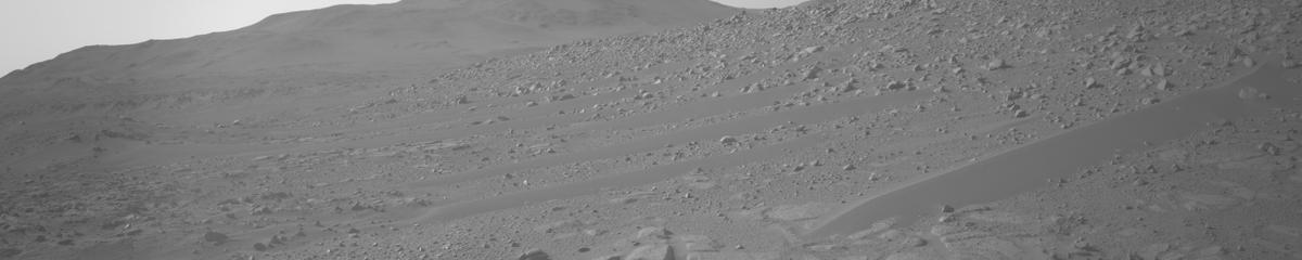 This image was taken by NAVCAM_LEFT onboard NASA's Mars rover Perseverance on Sol 1005