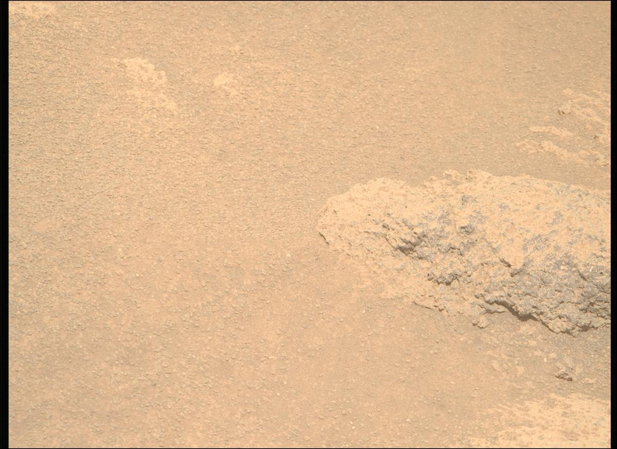This image was taken by MCZ_RIGHT onboard NASA's Mars rover Perseverance on Sol 1005