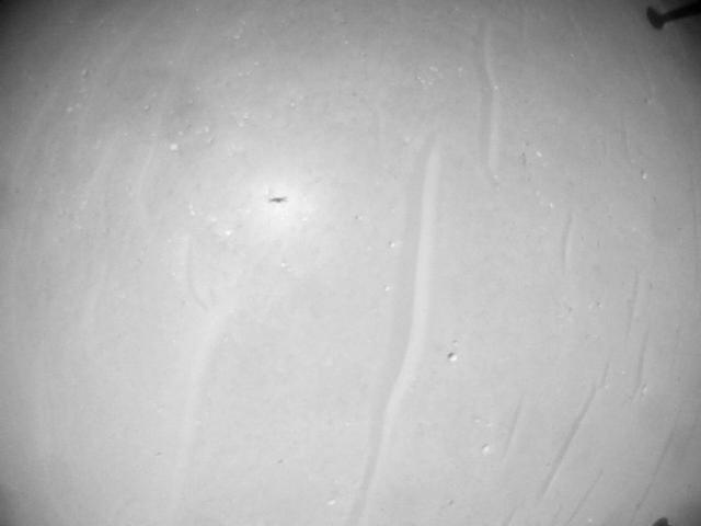 This image was taken by HELI_NAV onboard NASA's Mars rover Perseverance on Sol 1007