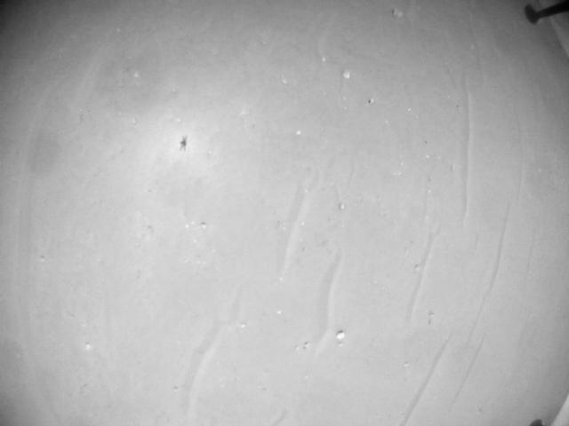This image was taken by HELI_NAV onboard NASA's Mars rover Perseverance on Sol 1007