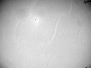 View image taken on Mars, Mars Helicopter Sol 1007: Navigation Camera