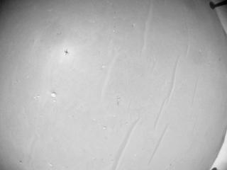 View image taken on Mars, Mars Helicopter Sol 1007: Navigation Camera