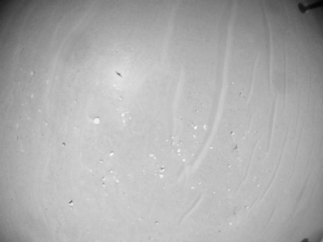 This image was taken by HELI_NAV onboard NASA's Mars rover Perseverance on Sol 1007
