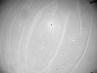 View image taken on Mars, Mars Helicopter Sol 1007: Navigation Camera