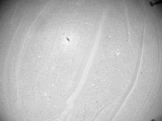 View image taken on Mars, Mars Helicopter Sol 1007: Navigation Camera