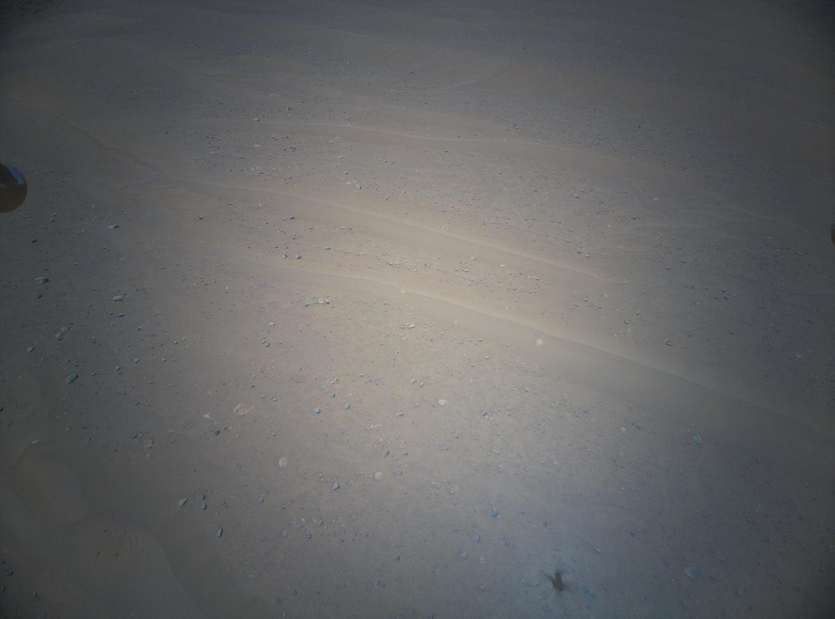 This image was taken by HELI_RTE onboard NASA's Mars rover Perseverance on Sol 1007