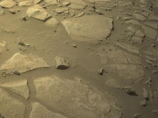 View image taken on Mars, Mars Perseverance Sol 1007: Right Navigation Camera (Navcam)
