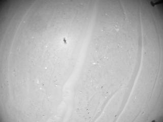 View image taken on Mars, Mars Helicopter Sol 1009: Navigation Camera