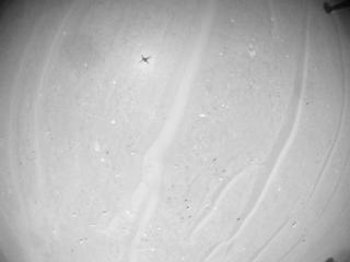 View image taken on Mars, Mars Helicopter Sol 1009: Navigation Camera