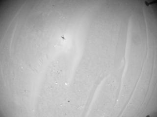 View image taken on Mars, Mars Helicopter Sol 1009: Navigation Camera