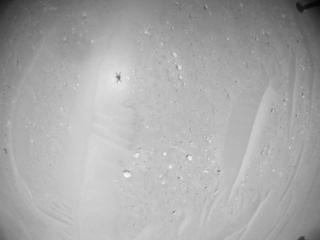 View image taken on Mars, Mars Helicopter Sol 1009: Navigation Camera
