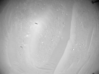 View image taken on Mars, Mars Helicopter Sol 1009: Navigation Camera