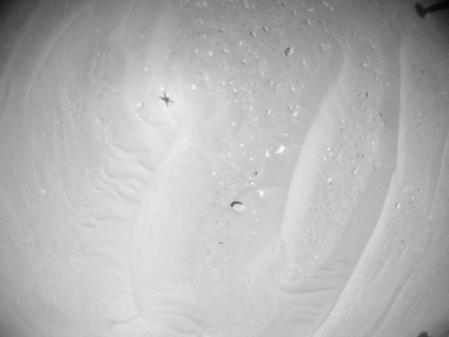 This image was taken by HELI_NAV onboard NASA's Mars rover Perseverance on Sol 1009