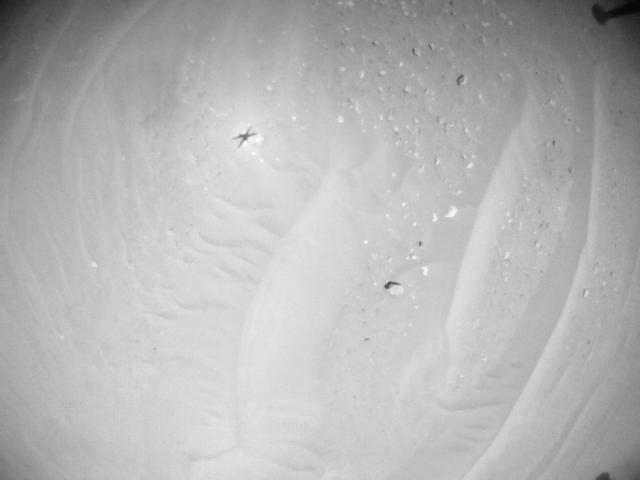 This image was taken by HELI_NAV onboard NASA's Mars rover Perseverance on Sol 1009