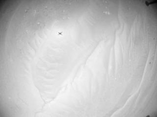 View image taken on Mars, Mars Helicopter Sol 1009: Navigation Camera