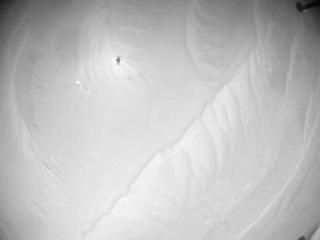 View image taken on Mars, Mars Helicopter Sol 1009: Navigation Camera