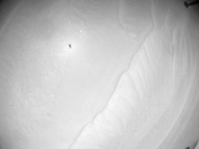 This image was taken by HELI_NAV onboard NASA's Mars rover Perseverance on Sol 1009