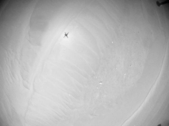 This image was taken by HELI_NAV onboard NASA's Mars rover Perseverance on Sol 1009
