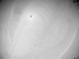 View image taken on Mars, Mars Helicopter Sol 1009: Navigation Camera