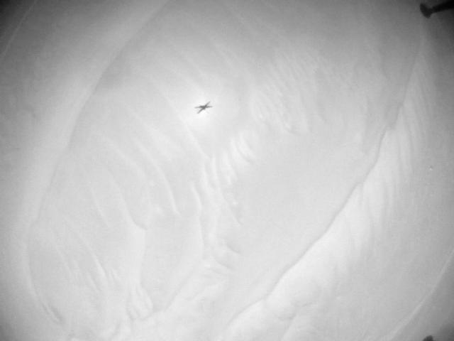 This image was taken by HELI_NAV onboard NASA's Mars rover Perseverance on Sol 1009