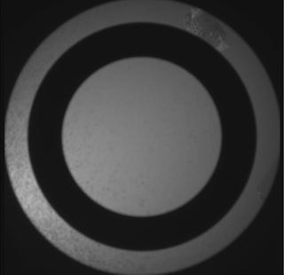 View image taken on Mars, Mars Perseverance Sol 1009: SkyCam Camera 