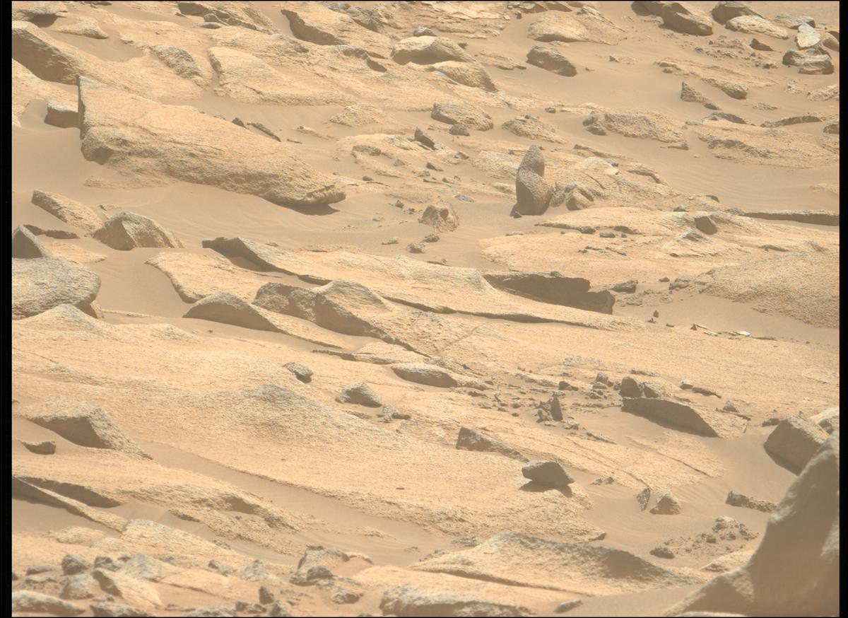 This image was taken by MCZ_LEFT onboard NASA's Mars rover Perseverance on Sol 1009