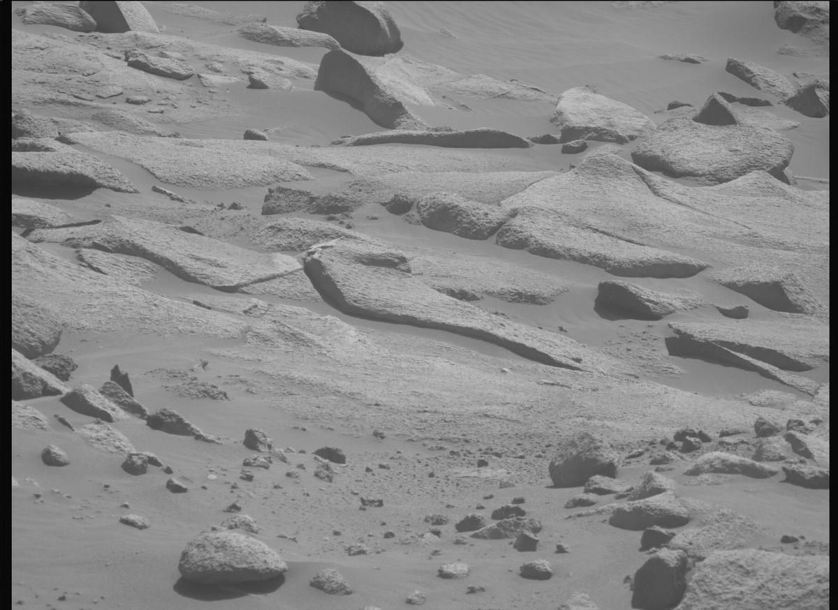 This image was taken by MCZ_LEFT onboard NASA's Mars rover Perseverance on Sol 1009