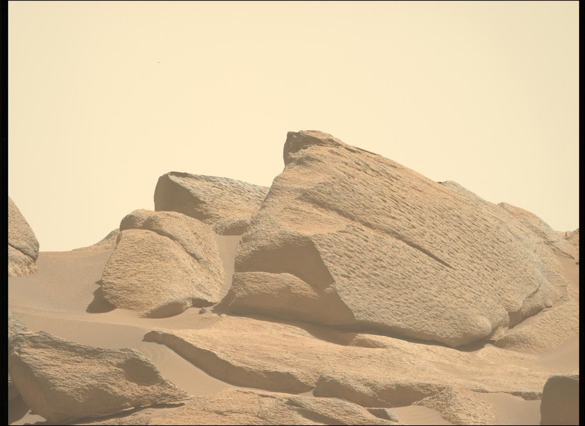 This image was taken by MCZ_LEFT onboard NASA's Mars rover Perseverance on Sol 1009