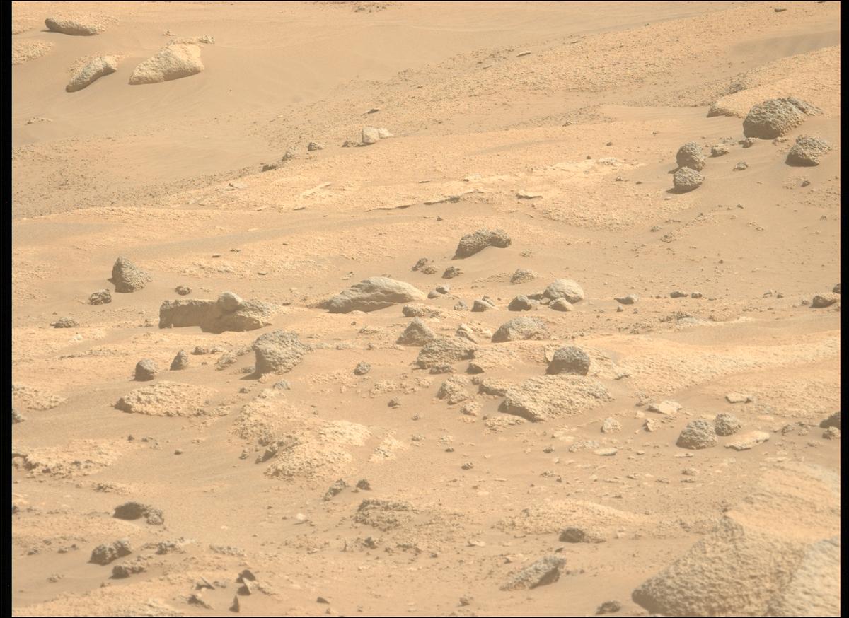 This image was taken by MCZ_LEFT onboard NASA's Mars rover Perseverance on Sol 1009