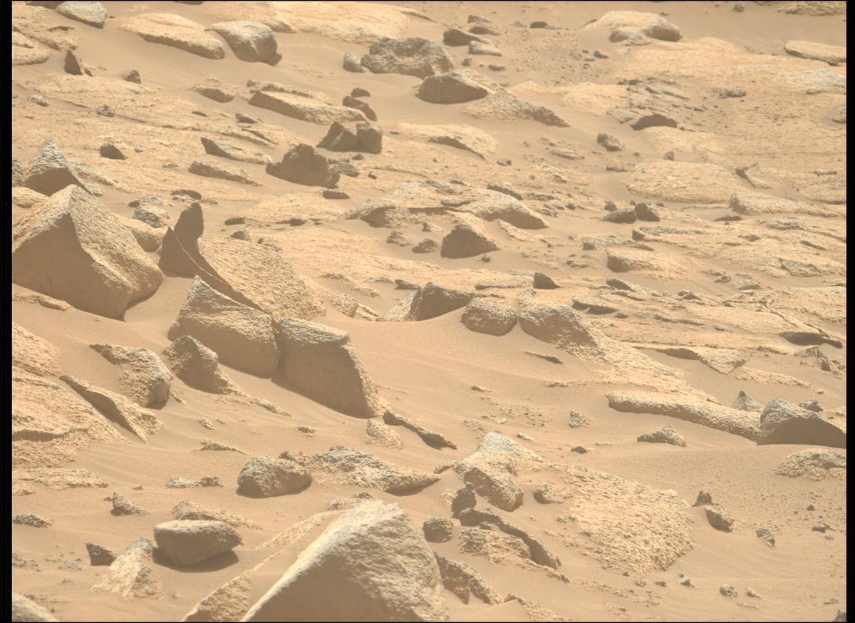 This image was taken by MCZ_LEFT onboard NASA's Mars rover Perseverance on Sol 1009