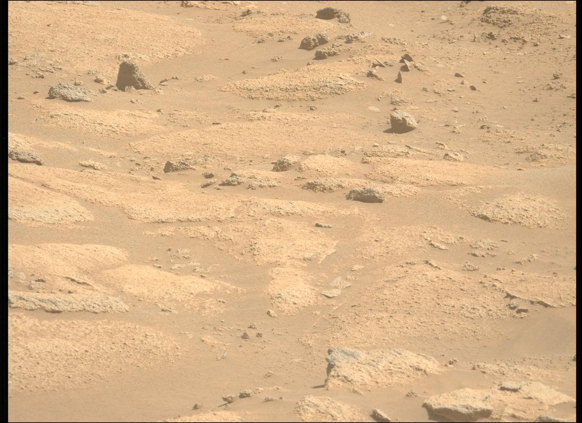 This image was taken by MCZ_LEFT onboard NASA's Mars rover Perseverance on Sol 1009