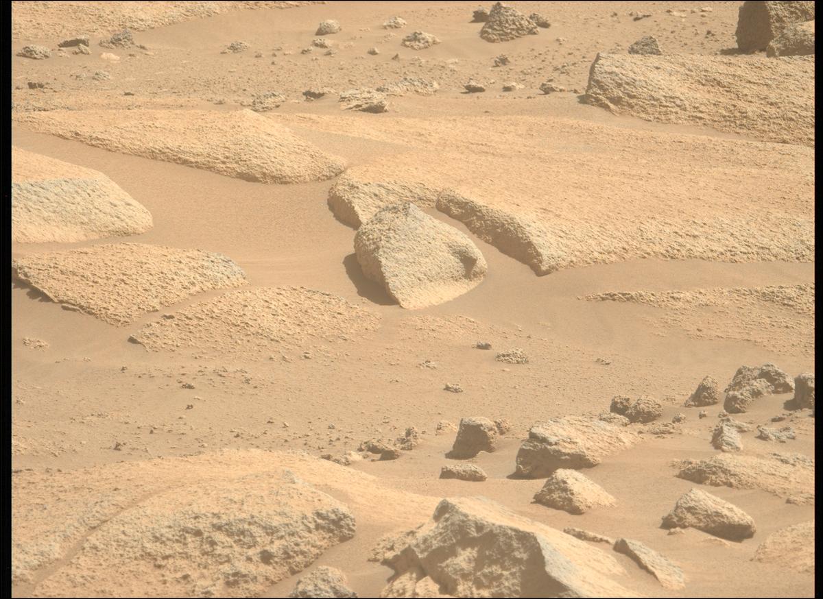 This image was taken by MCZ_LEFT onboard NASA's Mars rover Perseverance on Sol 1009
