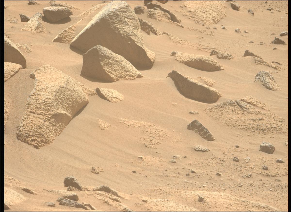 This image was taken by MCZ_LEFT onboard NASA's Mars rover Perseverance on Sol 1009