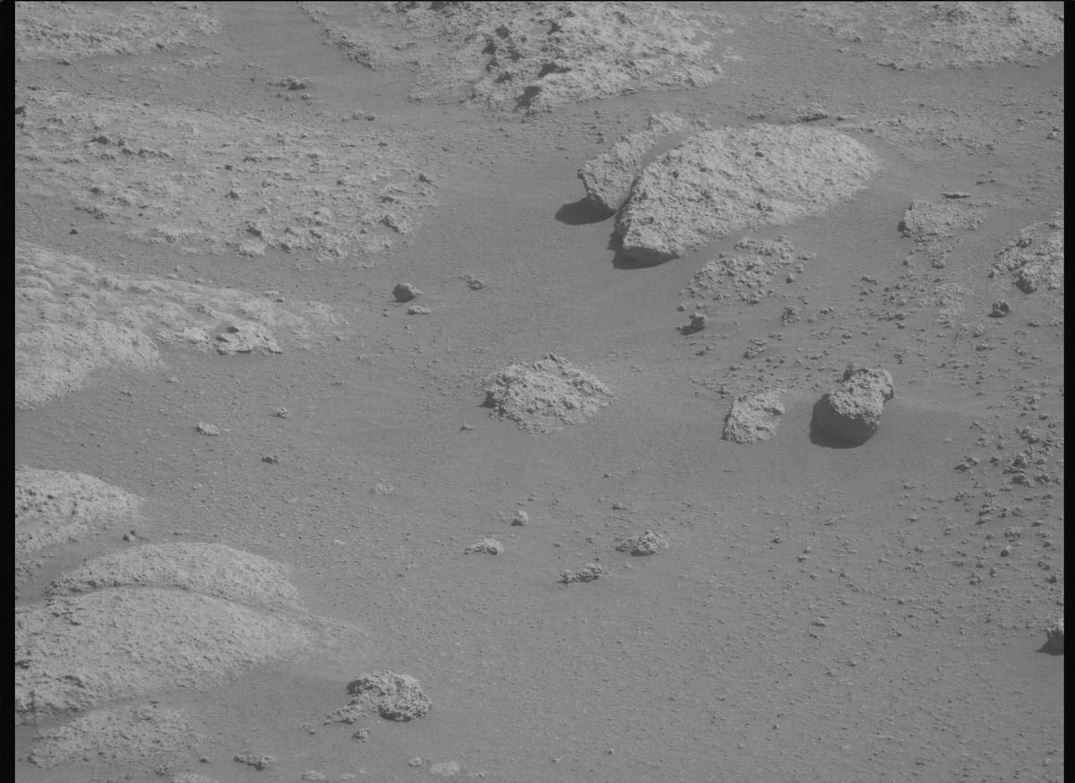 This image was taken by MCZ_LEFT onboard NASA's Mars rover Perseverance on Sol 1009