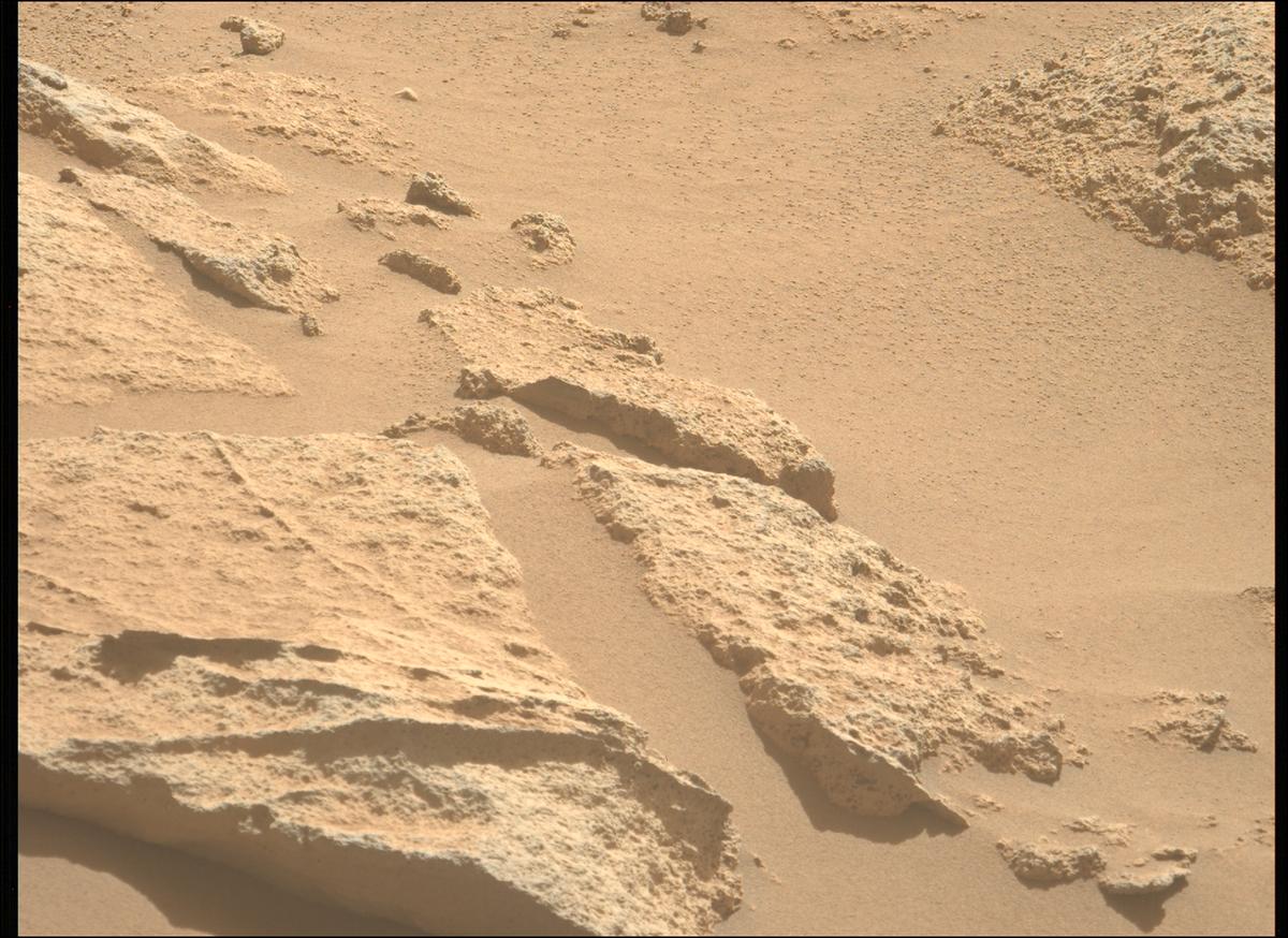 This image was taken by MCZ_LEFT onboard NASA's Mars rover Perseverance on Sol 1009