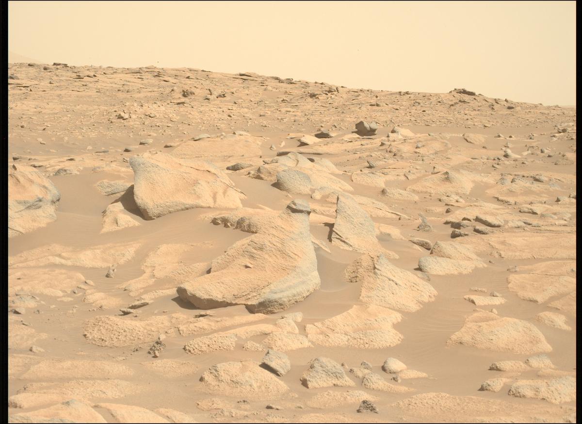 This image was taken by MCZ_LEFT onboard NASA's Mars rover Perseverance on Sol 1009