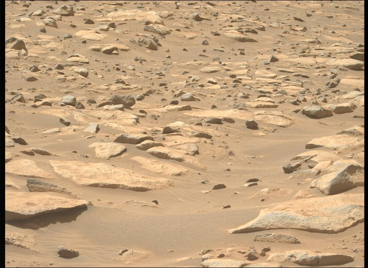 This image was taken by MCZ_LEFT onboard NASA's Mars rover Perseverance on Sol 1009